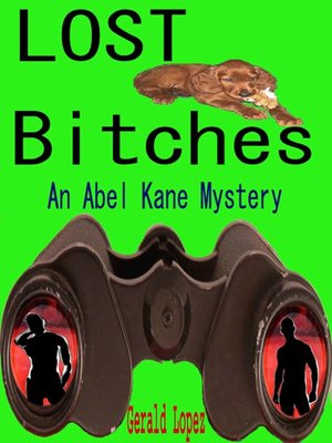 cover image of Lost Bitches (an Abel Kane Mystery)